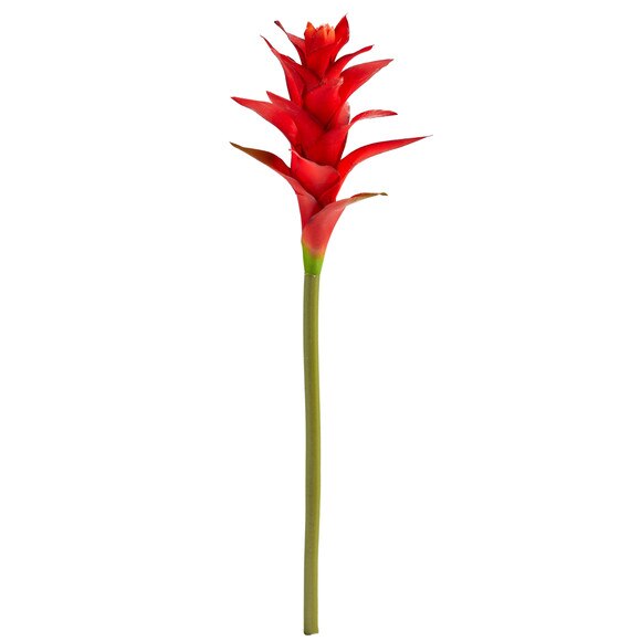 23 Star Bromeliad - SKU #2361